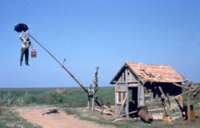 Emir Kusturica: Černá kočka, bílý kocour Emir Kusturica: Černá kočka, bílý kocour