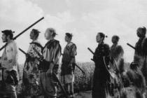 Akira Kurosawa: Sedm samurajů