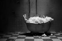 Adam Elliot: Mary and Max